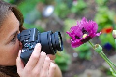 a female photographer photographing a flower close-up